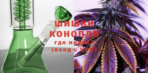 молекула духа Алзамай