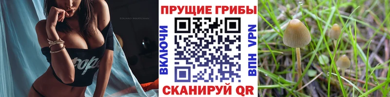 Галлюциногенные грибы прущие грибы  продажа наркотиков  Урай 
